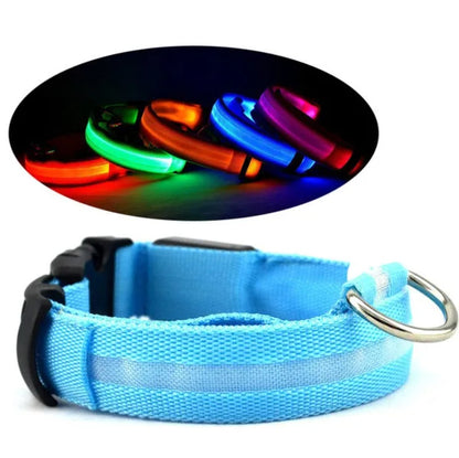 LED Pet Safety Halo Style Collar