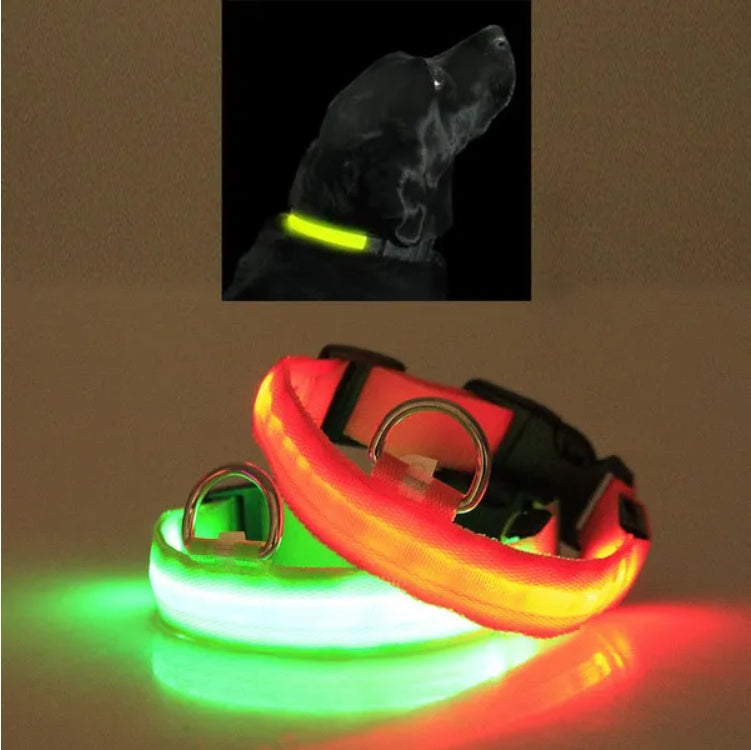 LED Pet Safety Halo Style Collar