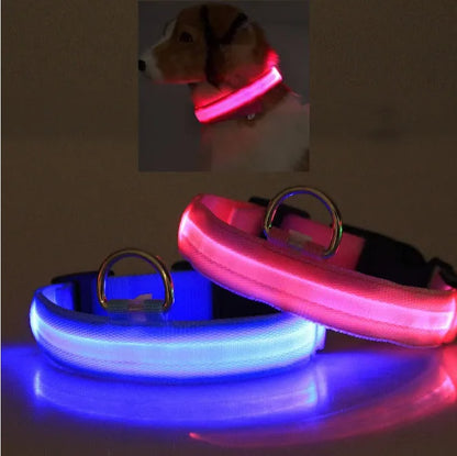 LED Pet Safety Halo Style Collar