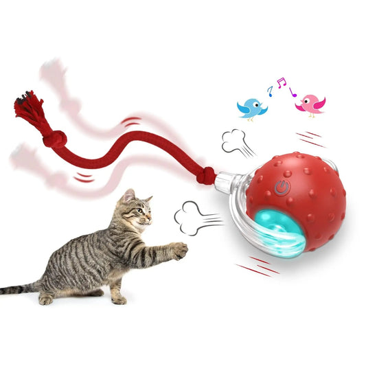 Interactive Super Drive Rolling Ball Toy